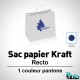 Sac papier kraft blanc lisse