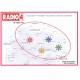Diffusion sur Radio 4 