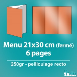 Menu - dépliant 6 pages (42x29,7cm ouvert)