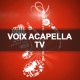 Spot audio