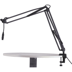 Bras articulé pour micro + câble XLR