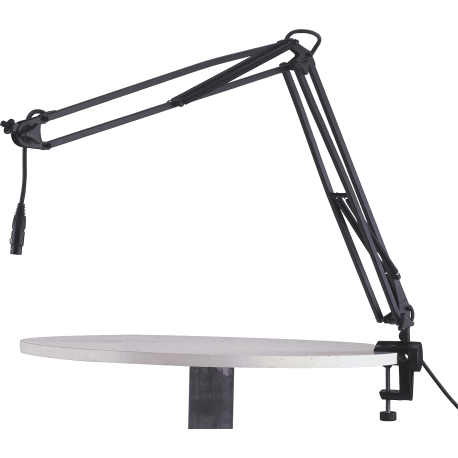 Bras articulé pour micro + câble XLR