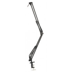 Bras articulé K&M + câble XLR
