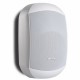 Apart Audio MASK6CTW