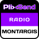 PlixSend Montargis (45)