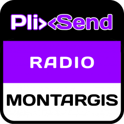 PlixSend Montargis (45)